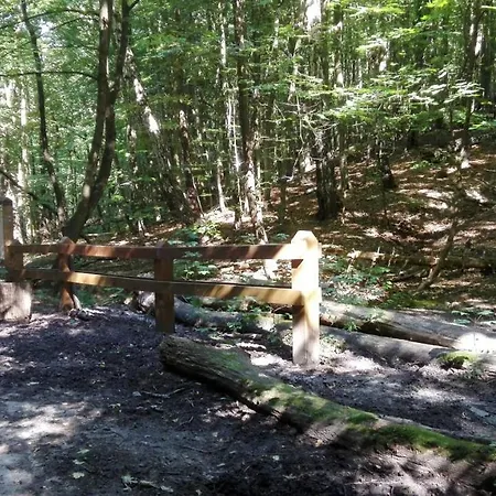 Ul.powstania Wielkopolskiego 18 Appartement