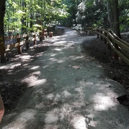 Ul.powstania Wielkopolskiego 18 グディニャ