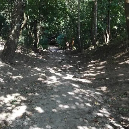 Ul.powstania Wielkopolskiego 18 アパート グディニャ