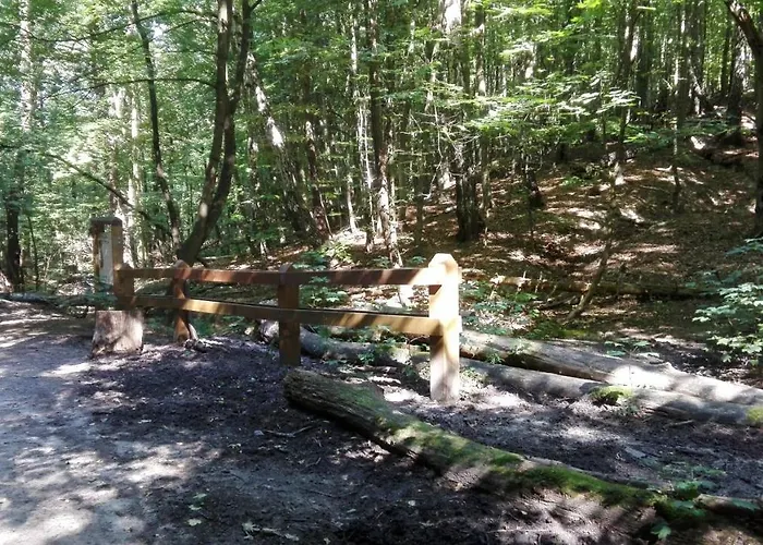 Ul.powstania Wielkopolskiego 18 Апартаменти